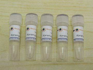 Kanamycin (10mg/ml,1000X)